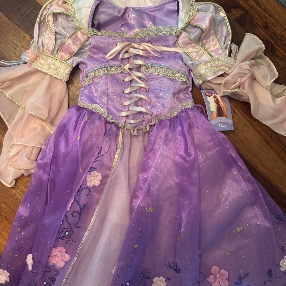 Disney Rapunzel Princess Costume
